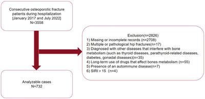 Association between systemic inflammatory response index and bone turnover markers in Chinese patients with osteoporotic fractures: a retrospective cross-sectional study